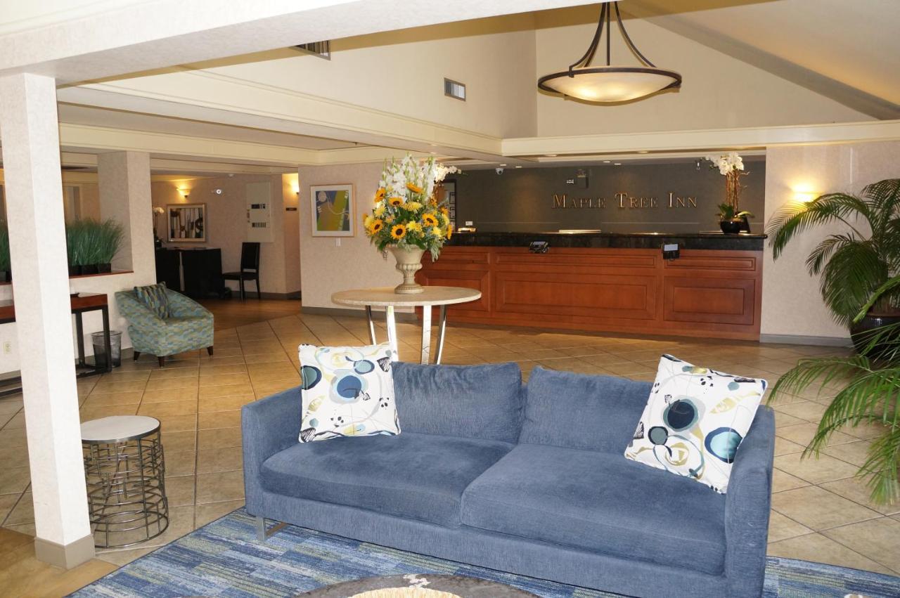 Maple Tree Inn Σανιβέιλ Εξωτερικό φωτογραφία