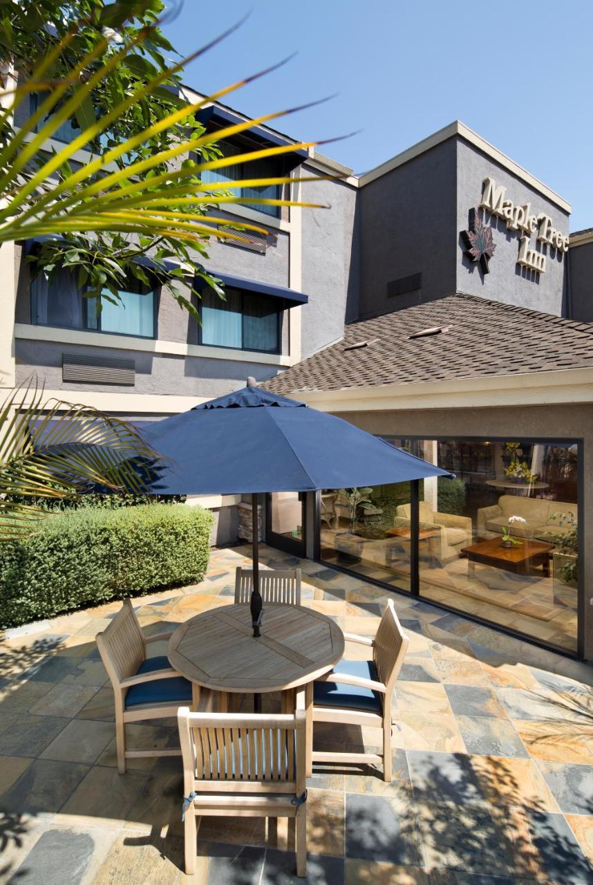 Maple Tree Inn Σανιβέιλ Εξωτερικό φωτογραφία