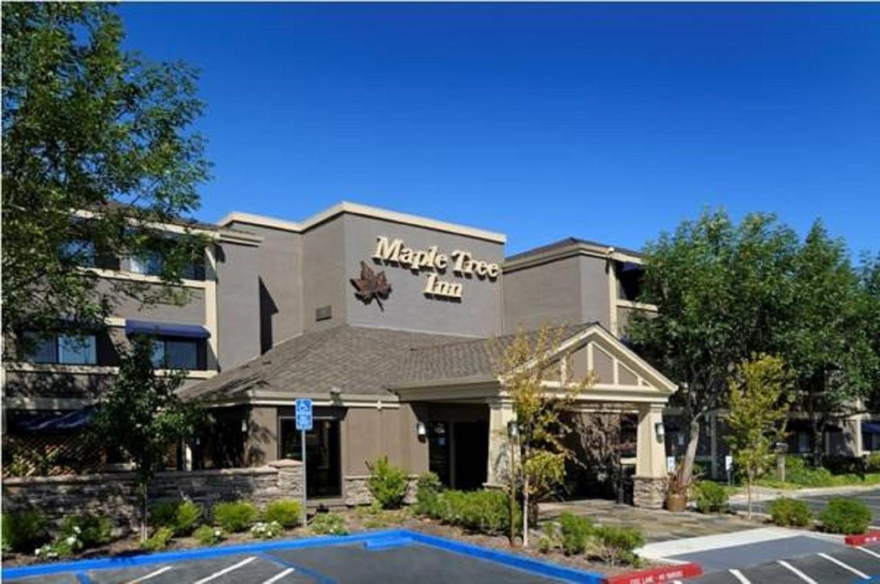 Maple Tree Inn Σανιβέιλ Εξωτερικό φωτογραφία
