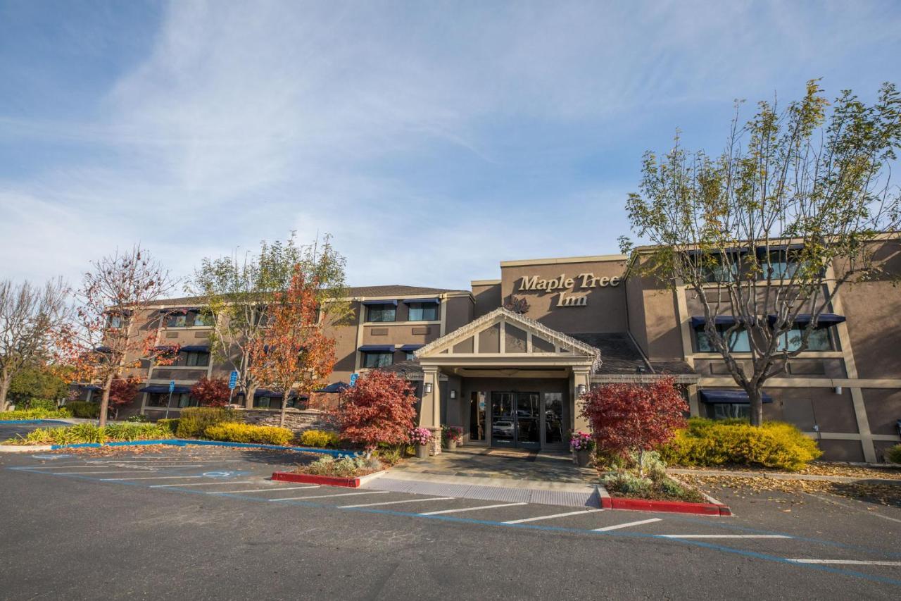 Maple Tree Inn Σανιβέιλ Εξωτερικό φωτογραφία