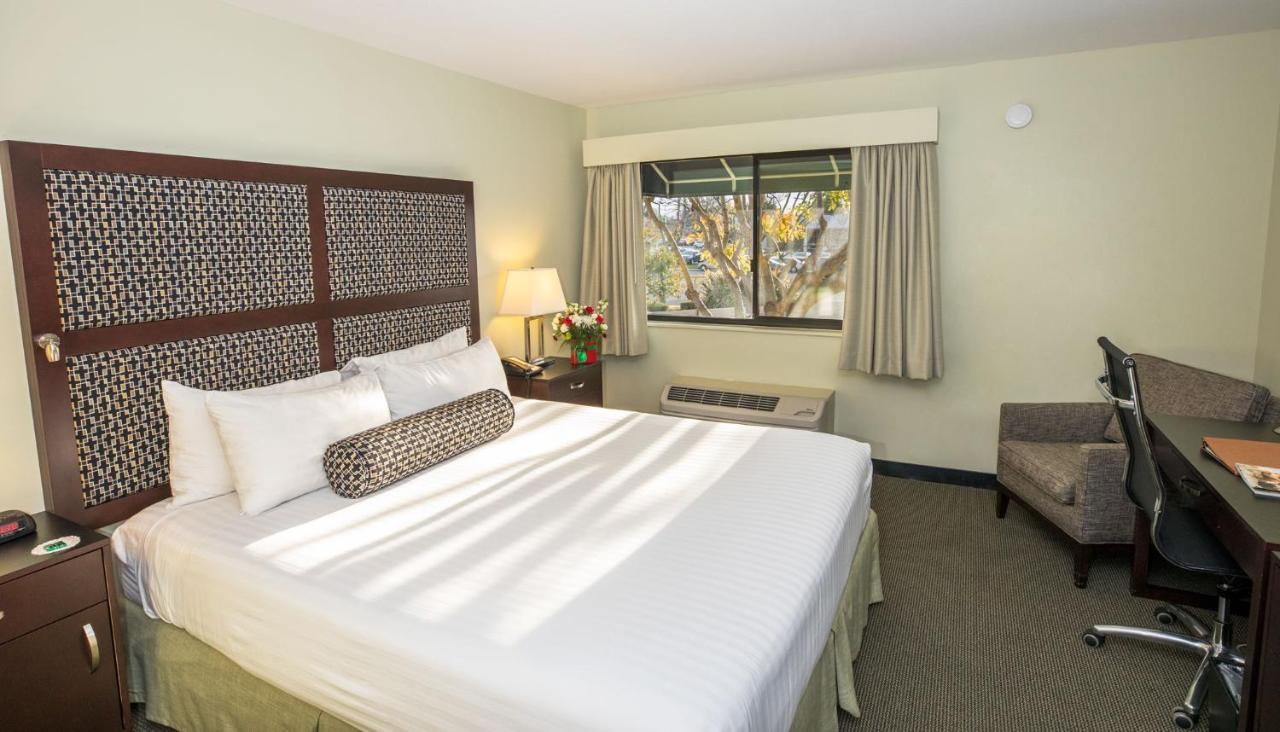 Maple Tree Inn Σανιβέιλ Εξωτερικό φωτογραφία