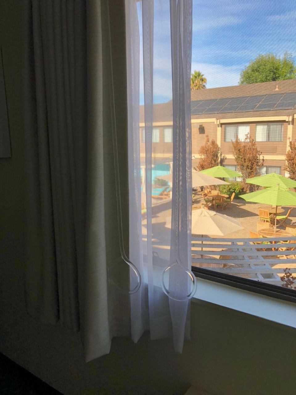 Maple Tree Inn Σανιβέιλ Εξωτερικό φωτογραφία